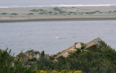 DGA del MOP adjudica recursos del Fondo para la Investigación, Innovación y Educación en Recursos Hídricos a dos proyectos de la región de Coquimbo