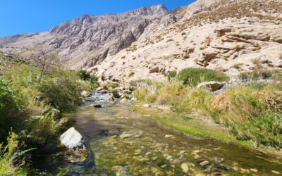 Entra en vigencia reglamento para solicitar derechos de aprovechamiento de aguas no extractivo o in situ