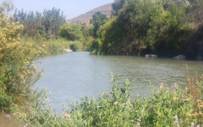 Dirección General de Aguas da a conocer los ganadores del concurso Fondo para la Investigación, Innovación y Educación en Recursos Hídricos