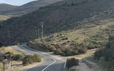 MOP inaugura pavimentación en Ruta D-901 en Canela, y anuncia obras en segundo tramo