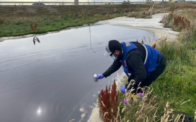 Dirección General de Aguas del MOP lleva más de mil fiscalizaciones resueltas en 2025, casi el doble que en la misma fecha de 2022