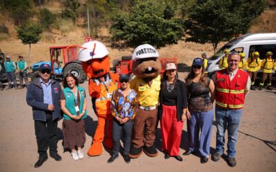 Gobierno despliega histórico plan de casi 5 mil km de cortafuegos para prevenir incendios forestales